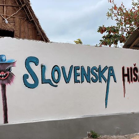 Slovenska Hisa Zanzibar Nungwi Exteriör bild